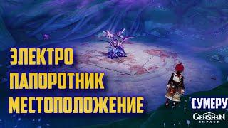 ЭЛЕКТРО ПАПОРОТНИК ГДЕ НАЙТИ , КАК ПРОЙТИ / СУМЕРУ GENSHIN IMPACT 3.0