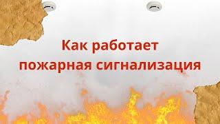 Пожарная сигнализация: Как она работает и почему это важно?