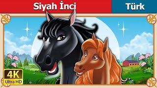 Siyah İnci | Black Beauty in Turkish | @TürkiyeFairyTales