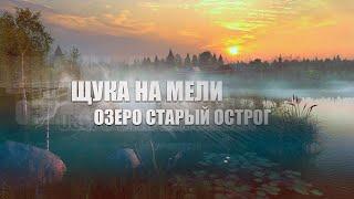 Русская Рыбалка 4 ► Russian Fishing 4 ► Старый Острог - Щука на Мели!