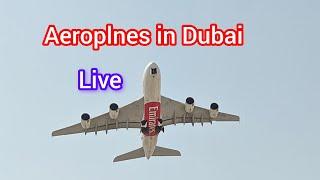 Live Aeroplanes ️ in Dubai. Dubai Airport. Busiest airport in the world. Tourist attractions