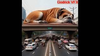 Bulldog gets down from his resting place, walks away on a busy road as a big monster.#vfx #artistic