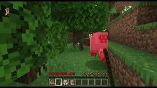 Minecraft 3