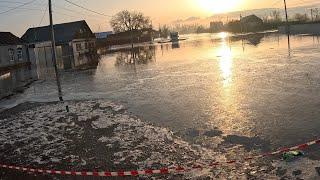 Я в шоке от этого персонажа, ведь мог погибнуть