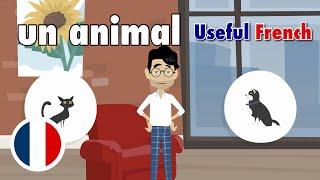 Learn Useful French: Choisir un animal de compagnie - Choosing a Pet