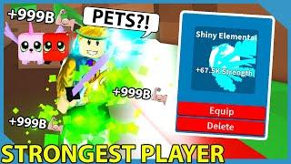 I Become The Strongest With This Overpowered Pet In Roblox Fighting Simulator