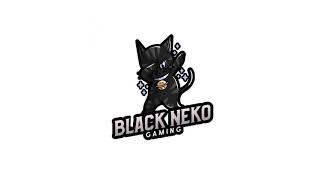 Old JUST A KID is now BLACK NEKO GAMING