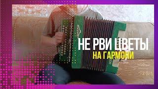 Не рви цветы, завянут они - НА ГАРМОНИ