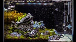 Запуск и оформление с нуля неприхотливого травника / Setup Nature Aquarium Step-by-step