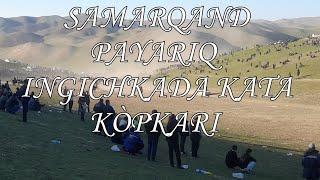 27 11 2022 SAMARQAND PAYARIQDA KATTA KÒPKARI OXRINI YORVORDI TAYSIN POLVON
