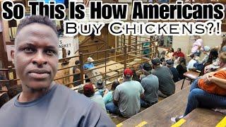 So This Is How Americans Buy Chickens?! | New Experience |Auction |Vlog | DITL |The Bichanga Family