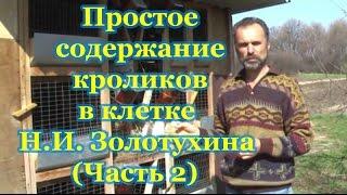 Простое содержание кроликов в клетке Н.И. Золотухина (Часть 2 из 3)