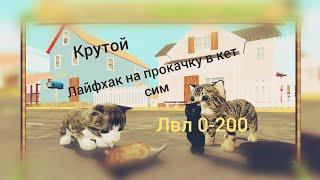 КРУТОЙ ЛАЙФХАК ДЛЯ ПРОКАЧКИ В cat sim online⭐⭐⭐⭐⭐/ sim top