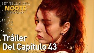 Estrella Del Norte Primer Amor | Tráiler Del Capitulo 43 | Kuzey Yıldızı İlk Aşk (SUBTITULO ESPAÑOL)