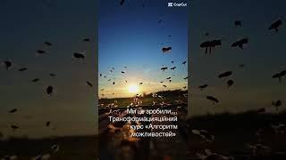 Курс трансформації Алгоритм можливостей ️️️ подробно в коментах