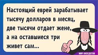 Анекдоты про евреев. Подборка смешных анекдотов и фраз со смыслом и без...