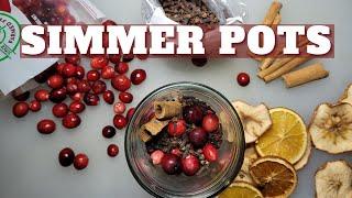 How to make Simmer Potpourri or Simmer Pots - SIMPLE HOSTESS / TEACHER / CHRISTMAS GIFT