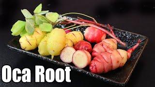 OCA ROOT : The Colorful South American Root That Tastes Delicious! - Amazing Plants