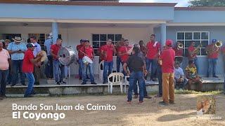 EL COYONGO  - Banda San Juan de Caimito