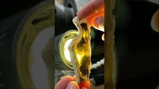 Agatized Coral is magical!