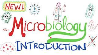 An Introduction to Microbiology 