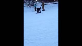 Tyler - snowboarding MT Kato