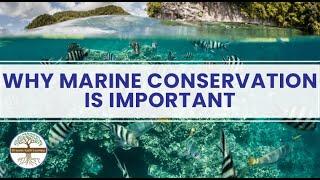 Why Marine Conservation Is Important? Dynamic Earth Learning