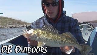 Fox River Walleye and White Bass Action - OB Outdoors: Episode 6