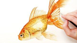 How to paint a shiny watercolor goldfish [no metallic paints] - a detailed lesson