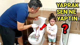 YAPRAK YARAMAZLIK SERİSİ YAĞMUR SAKIN GÖRMESİN -YÜKSEL OYUNDA