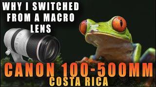 Canon 100-500mm Photographing Frogs & Snakes in Costa Rica - Why I Switched from a Macro Lens