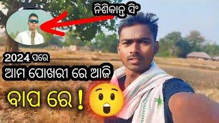 2025 ରେ ଆଜି ପ୍ରଥମ ଥର ଆମ ପୋଖରୀ ରେ  || Khandia Darha || Kandia Park || Nishikanta Singh