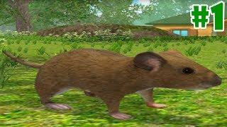 Mouse Simulator : Rat Rodent Animal Life - Android/iOS - Gameplay Episode 1