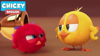 Where's Chicky? Funny Chicky 2021 | THE FIGHT | Chicky Cartoon in English for Kids