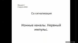 Лекция 18. Ионные каналы. Нервный импульс.