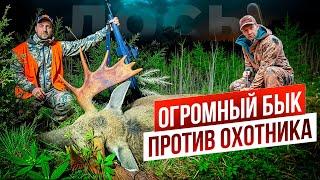 Охота на лося. Выманили ОГРОМНОГО ЛОСЯ. Охота на реву.