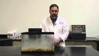 DrTim's Aquatics --- How to Use Our One and Only Live Nitrifying Bacteria