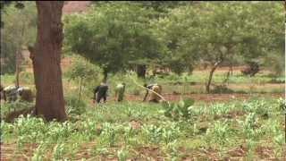 SLM 09 Soil Fertility Management