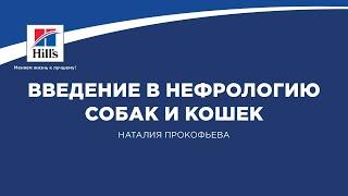 Вебинар №1 школы НЕФРОУРОВЕТ: "Введение в нефрологию собак и кошек". Лектор - Наталия Прокофьева.