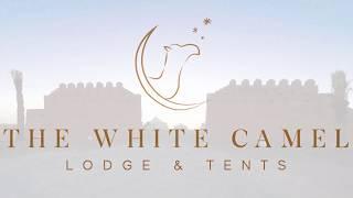 Agafay Camp White Camel - Marocco Travel Tours