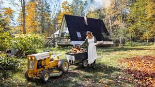 Autumn Cabin Life: Splitting Firewood, Foraging, Canning