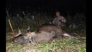 CACCIA ALL'ALCE - HUNTING MOOSE IN BELARUS by Marco Benecchi