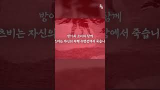 밀주업, 주식 사기, 도박을 통해 부자가된 사람의 최후 [위대한 개츠비 세계명작]3