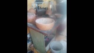 calabash soap dish