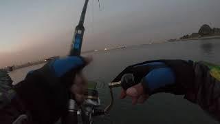 Barracuda on SHIMANO STRADIC SW | Abu Dhabi Fishing | Mangrove Village