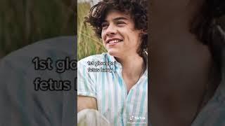 Harry has so many glow-ups #HarryStyles #harrystyles   #onedirection #1direction #1D #shorts