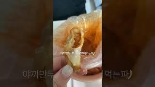 부먹?찍먹? 다들 야끼만두 어떻게 드시나용?:)