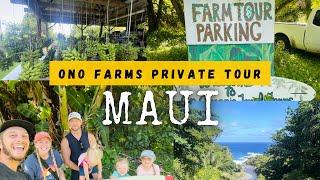 Ono Farms Private Tour//Maui//Organic Fruit Farm//Road to Hana//Pitt Pack Adventures//Travel With Us