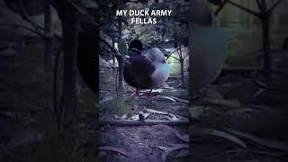 THE DUCK ARMY EDIT #viral #cute #duck