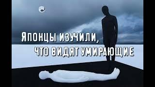 Японцы изучили, что видят умирающие